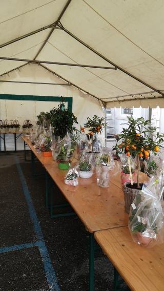 Fleuriste Espace Fleurs 0