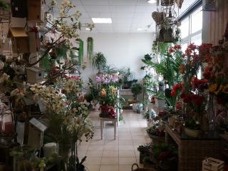 Fleuriste Vouloir des Fleurs 0