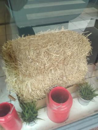 Fleuriste Miss Fleurs 0