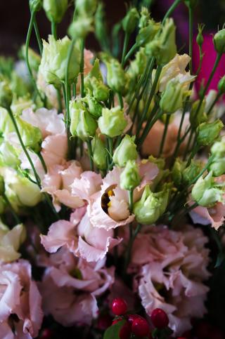 Fleuriste Adonis Bruges | Fleuriste Bruges 0