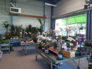 Fleuriste Fleurs Et Jardins Du Chéran 0