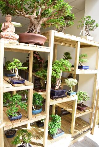 Fleuriste Le Petit Arbre 0