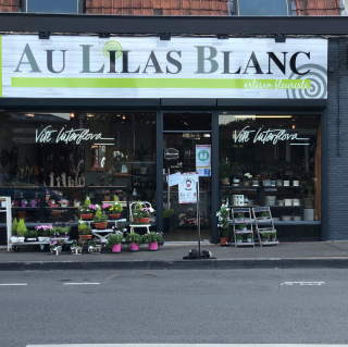 Fleuriste au lilas blanc 0