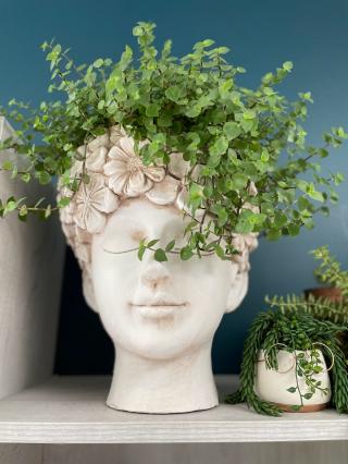 Fleuriste VERT'TIGE 0