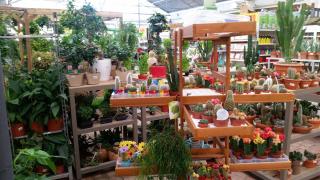 Fleuriste E.Leclerc Jardi 0