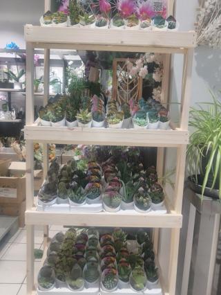 Fleuriste La vie en Fleurs Hyper U Manosque 0