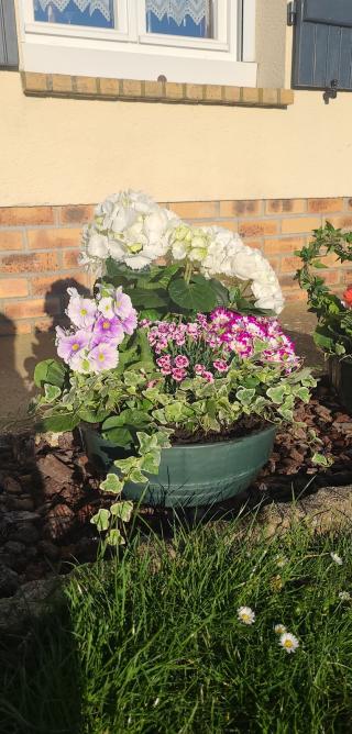 Fleuriste Atelier 47 1