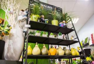 Fleuriste Tendances Fleurs 0