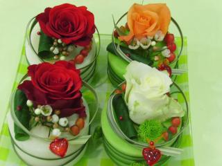 Fleuriste Miltonia 0