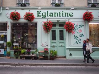 Fleuriste Eglantine Fleuriste Epernay 0