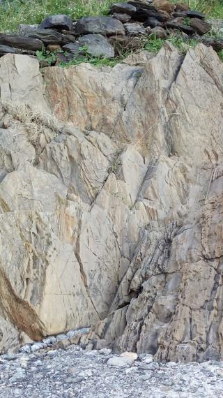 Fleuriste Florissimo 0