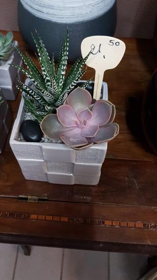 Fleuriste Le Temps D'Une Rose 0