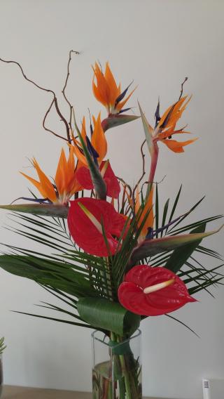 Fleuriste Concept Florial 0