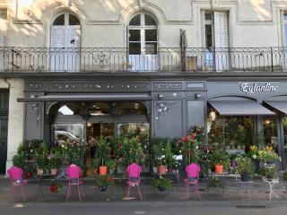 Fleuriste Eglantine - Fleuriste Chinon 0