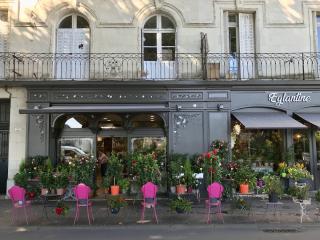 Fleuriste Eglantine - Fleuriste Interflora Florajet Chinon 0