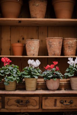 Fleuriste Fleurs Kammerer 0