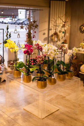 Fleuriste Fleurs Kammerer 0