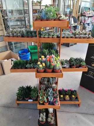 Fleuriste Bornand Etablissements france rurale 0