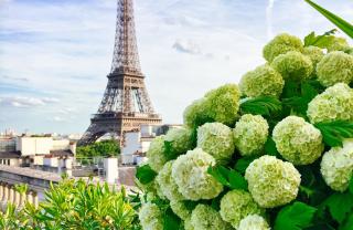 Fleuriste René Veyrat | L'atelier floral 