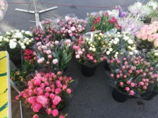 Fleuriste Kooij Nicolas 2