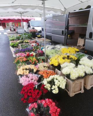 Fleuriste Kooij Nicolas 0