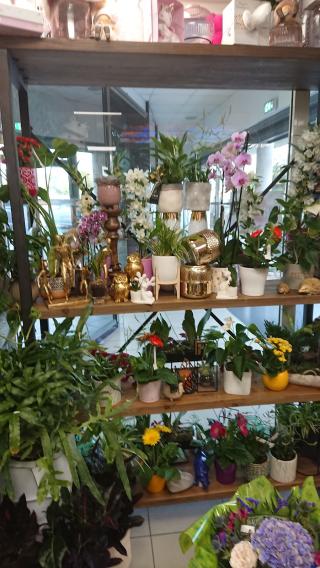 Fleuriste Fleurs en Folie Marguerittes 0