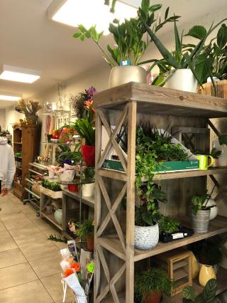 Fleuriste Amazonie 2