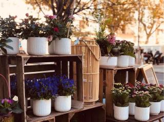 Fleuriste Osiris fleurs 0