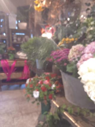 Fleuriste La Mélody des Fleurs 0