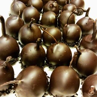 Fleuriste L'Aurore chocolatée 0