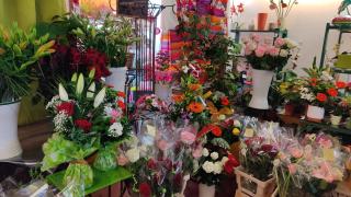 Fleuriste L'Amaryllis 1