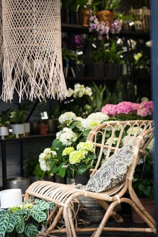 Fleuriste Sylvie Pelé 2