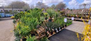 Fleuriste Truffaut 0