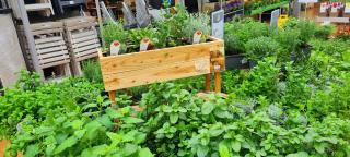 Fleuriste Truffaut 0