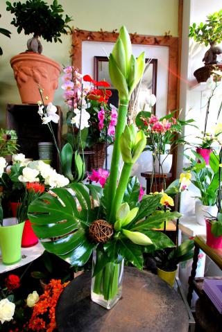 Fleuriste Osiris Fleurs 2