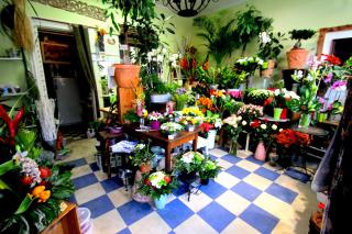 Fleuriste Osiris Fleurs 0