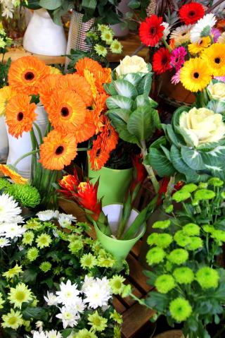 Fleuriste Osiris Fleurs 0