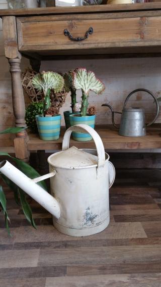 Fleuriste L'arrosoir Fleuriste Andernos 0