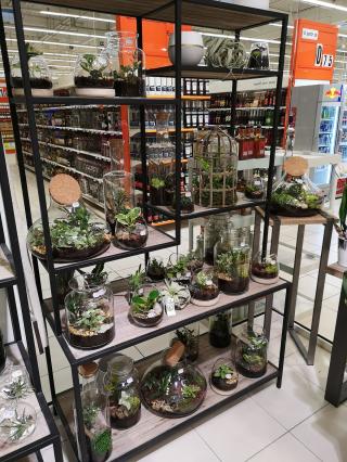 Fleuriste E. Leclerc Fleurs 0