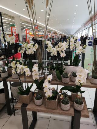 Fleuriste E. Leclerc Fleurs 0