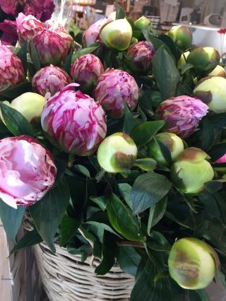 Fleuriste Histoire de Coeur 0