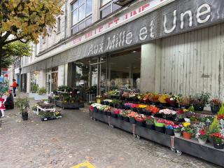 Fleuriste Aux Mille et Une Fleurs 0