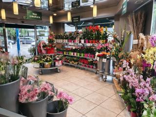 Fleuriste Dôme Fleurs 0