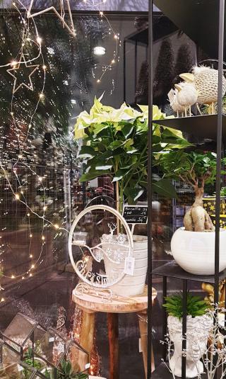 Fleuriste Rose des Bois 0