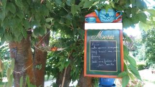 Fleuriste Les Demoiselles De L'air 1