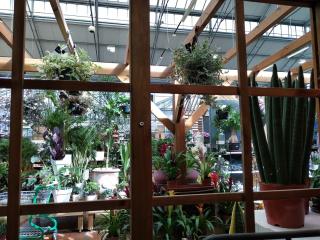 Fleuriste Gardens Ardoisières 0