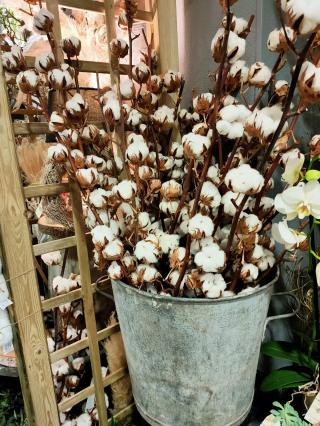 Fleuriste Au naturel | Fleuriste Alençon 2