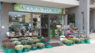Fleuriste Acqua Flora 0