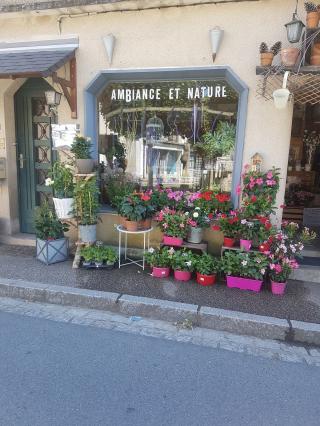 Fleuriste Ambiance et Nature 0