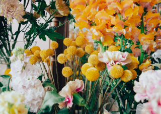 Fleuriste Bois de rose fleuriste, Angers 0